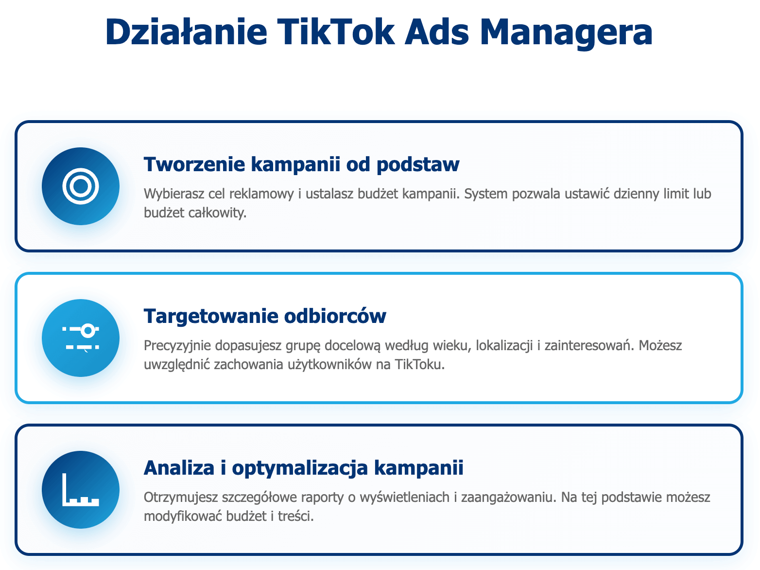 infografika przedstawiająca to, jak działa TikTok Ads Manager