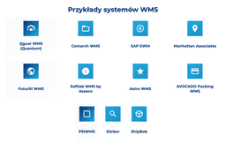 infografika przedstawiaj&#261;ca przyk&#322;ady system&oacute;w wms