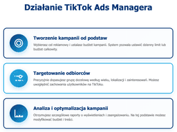 infografika przedstawiaj&#261;ca to, jak dzia&#322;a TikTok Ads Manager