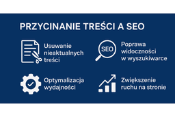 infografika przedstawiaj&#261;ca wp&#322;yw content pruningu na seo