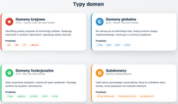 infografika przedstawiaj&#261;ca typy domen