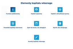 infografika przedstawiaj&#261;ca elementy kapita&#322;u w&#322;asnego