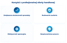 infografika przedstawiaj&#261;ca korzy&#347;ci z profesjonalnej oferty handlowej