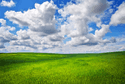 Miscrosoft i Windows Wista