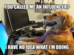 fake influencer