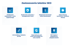 infografika przedstawiaj&#261;ca zastosowania tekst&oacute;w seo