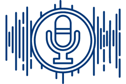 przebieg voice search optimization