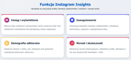 infografika przedstawiaj&#261;ca funkcje Instagram Insights