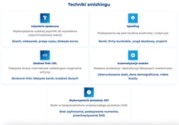 infografika przedstawiaj&#261;ca techniki smishingu