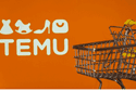 Temu vs Amazon