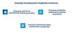 infografika przedstawiaj&#261;ca powody powstawania duplicate contentu