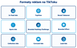 infografika przedstawiaj&#261;ca formaty reklam na tiktoku