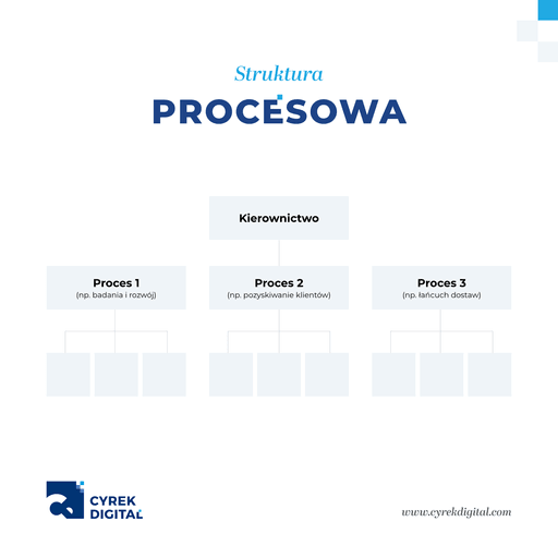 Struktura Organizacji – Rodzaje I Podział