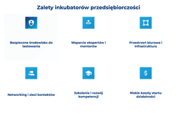infografika przedstawiająca zalety inkubatorów przedsiębiorczości