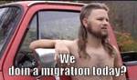 dobry plan migracji powzoli unikn&#261;&#263;&nbsp;problem&oacute;w