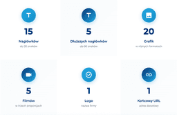infografika przedstawiaj&#261;ca wytyczne reklam do kampanii Performance Max
