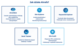 infografika przedstawiaj&#261;ca dzia&#322;anie Ahrefsa