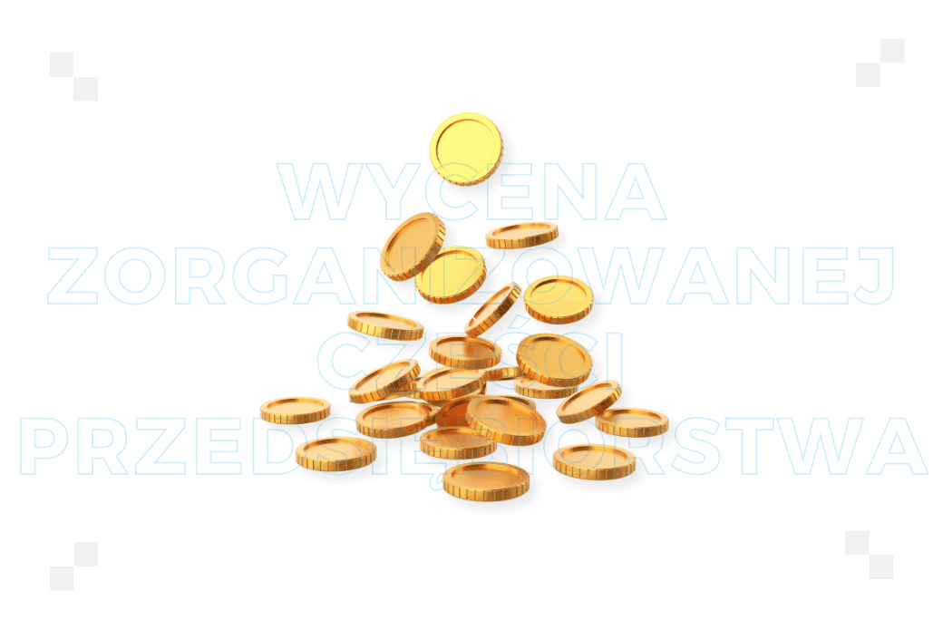 Wycena zorganizowanej części przedsiębiorstwa – co to jest i na czym polega?