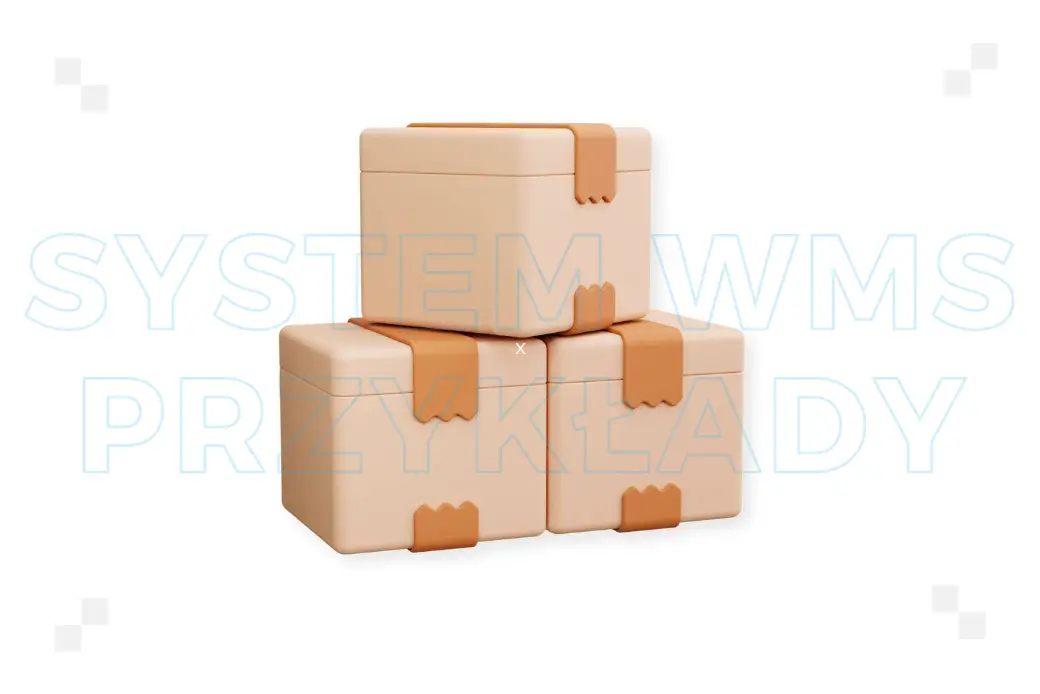 ​System WMS: przykłady najlepszych