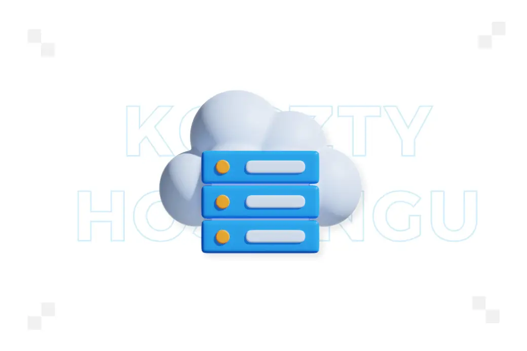 Ile kosztuje hosting? Sprawdź, co wpływa na jego cenę