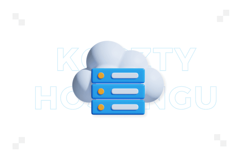 Ile kosztuje hosting? Sprawdź, co wpływa na jego cenę