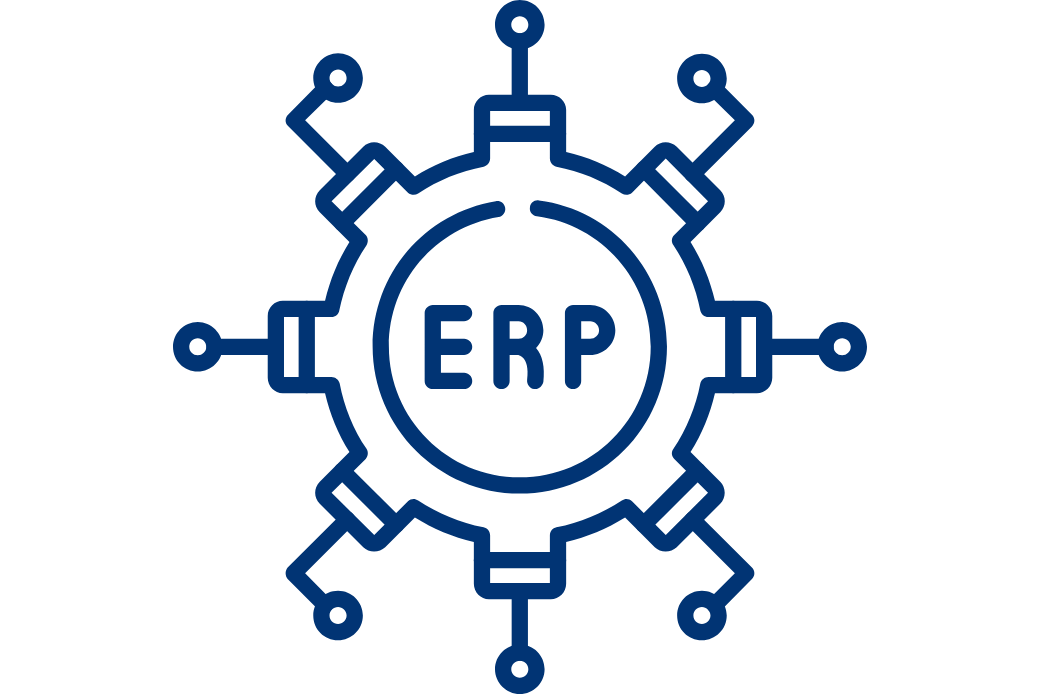 system erp