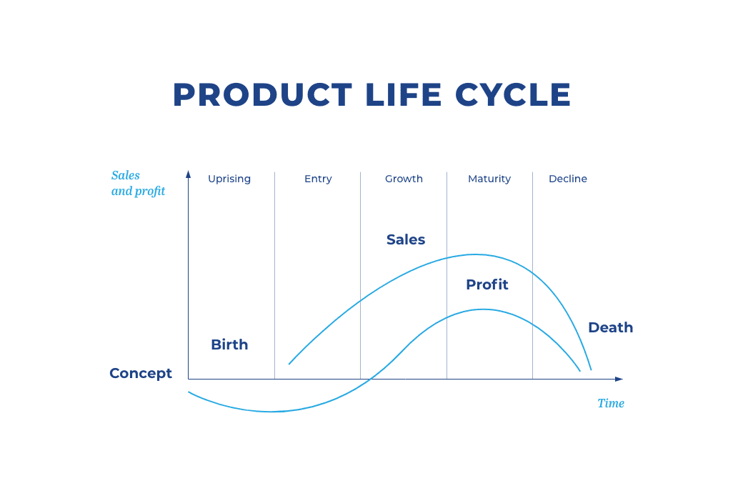 Product life cycle – what is worth bearing in mind?